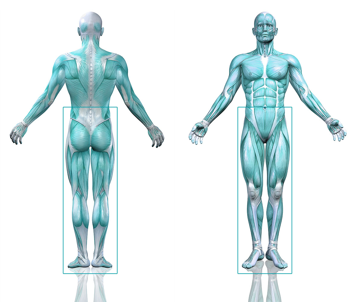 PATOLOGIAS-INFERIOR-fisoterapia-sevilla-gines