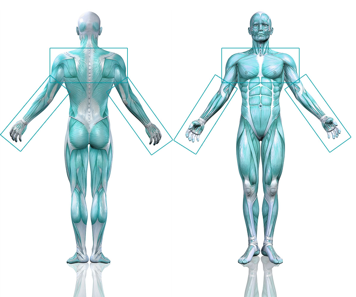 PATOLOGIAS SUPERIOR fisoterapia sevilla gines