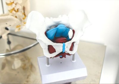 fisioterapia en Sevilla especializada en la mujer