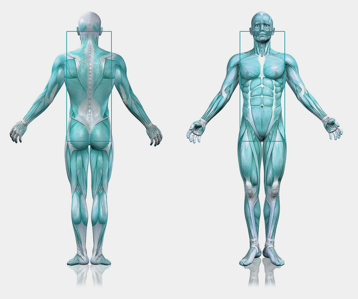 Activasalud columna Fisioterapia Gines Sevilla