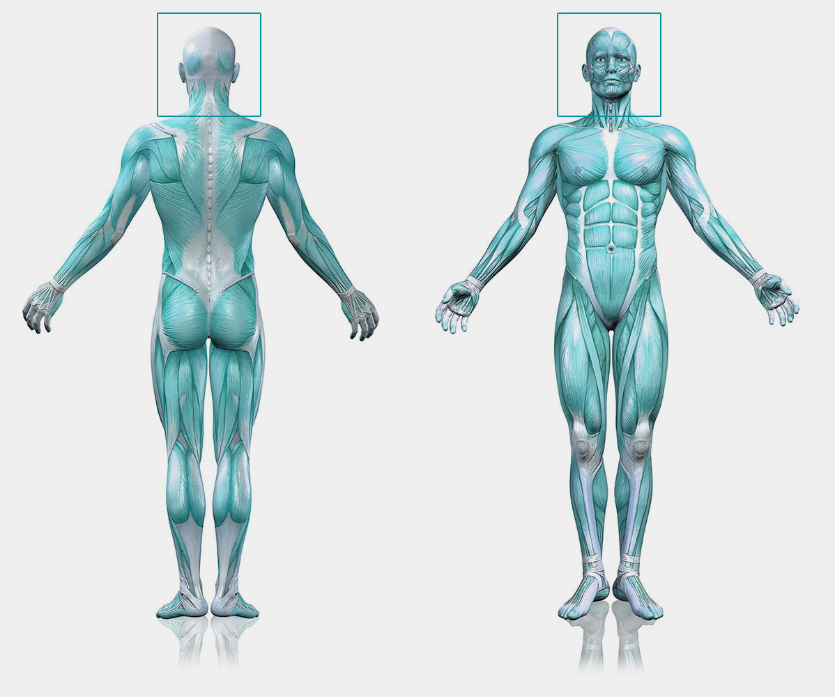 PATOLOGIAS que tratamos CABEZA fisoterapia sevilla gines